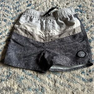 Volcom swim or play shorts. Size 2T. No liner.